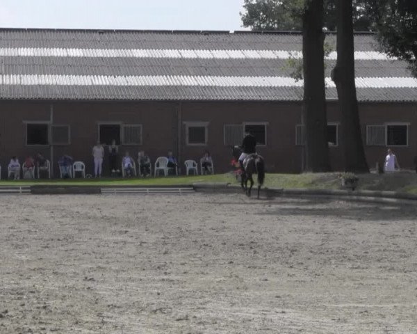 Reitturnier Datteln 2016