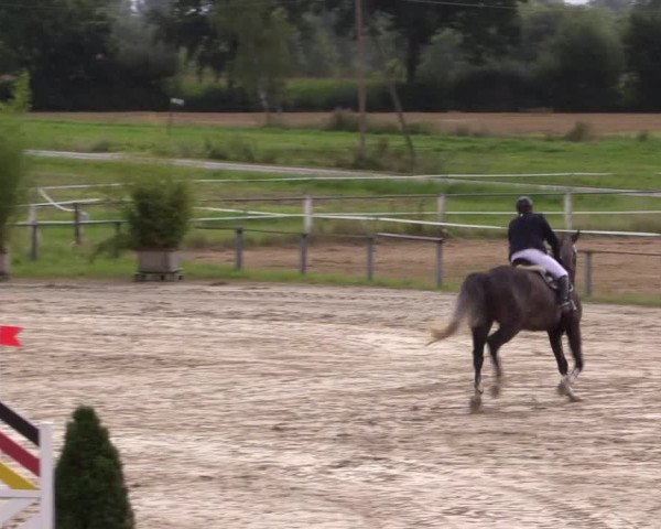 Sommerturnier Altenberge 2016