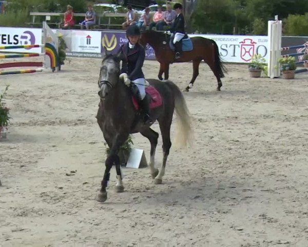 HORSE classics Killingen 2016