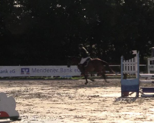Reitturnier Menden 2016