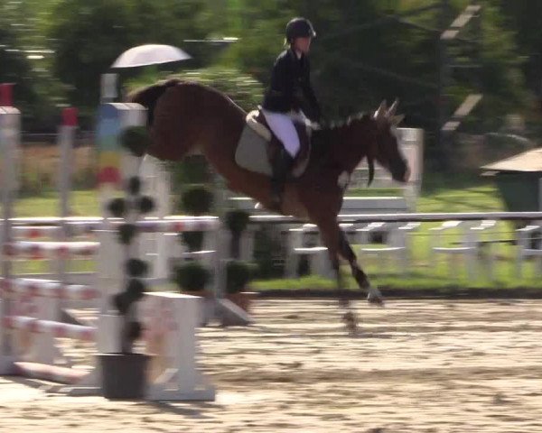 Reitturnier Menden 2016