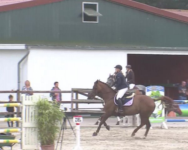 Reitturnier HH-Klein Offenseth/Hell-Stallion-Stud 2016