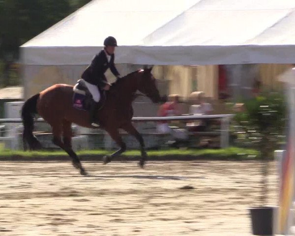 Reitturnier Menden 2016
