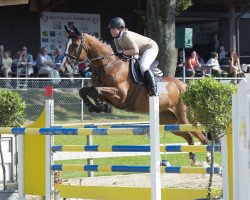 Zuchtstute For Fun CH (Schweizer Warmblut, 2005, von For Pleasure)