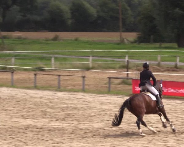Sommerturnier Altenberge 2016