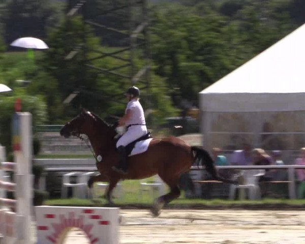 Reitturnier Menden 2016