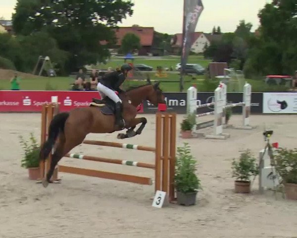 HORSE classics Killingen 2016