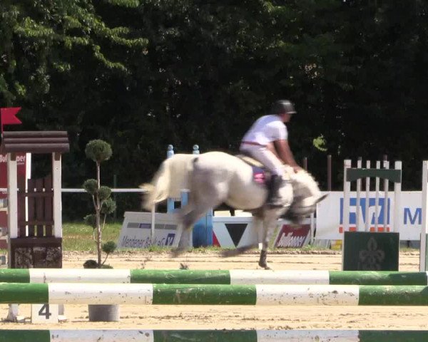 Reitturnier Menden 2016