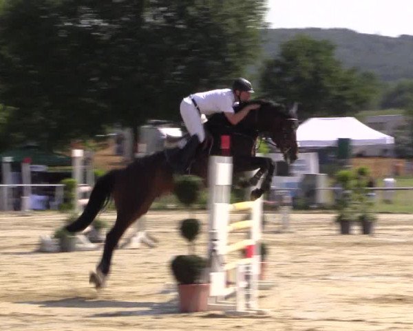 Reitturnier Menden 2016