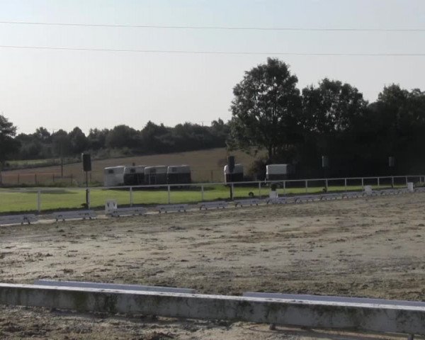 Reitturnier Menden 2016