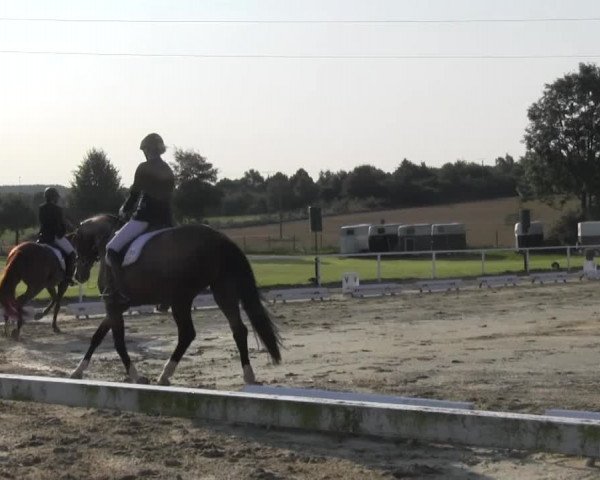 Reitturnier Menden 2016