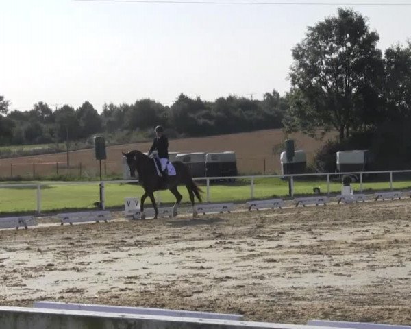 Reitturnier Menden 2016