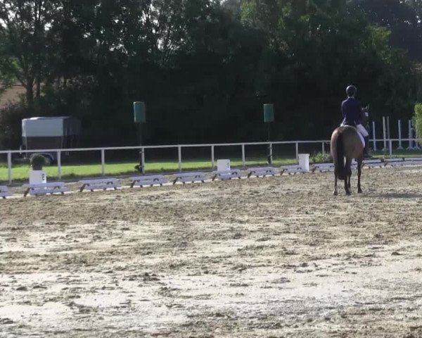 Reitturnier Menden 2016