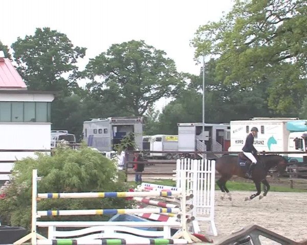 Reitturnier HH-Klein Offenseth/Hell-Stallion-Stud 2016
