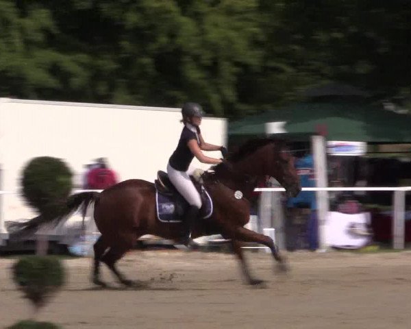 Reitturnier Menden 2016