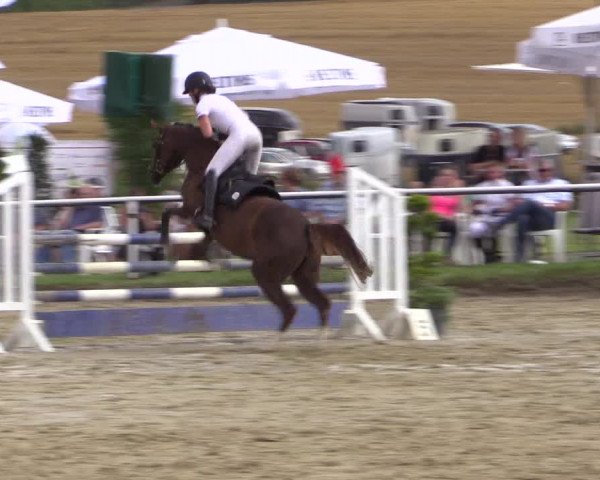 Reitturnier Menden 2016