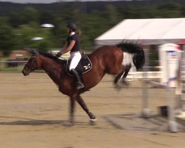 Reitturnier Menden 2016