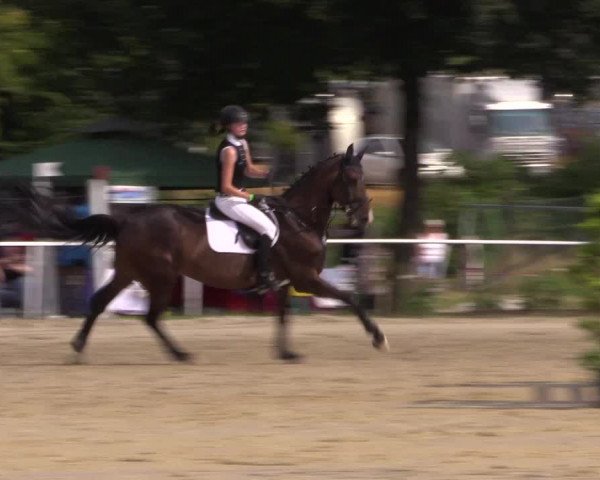 Reitturnier Menden 2016