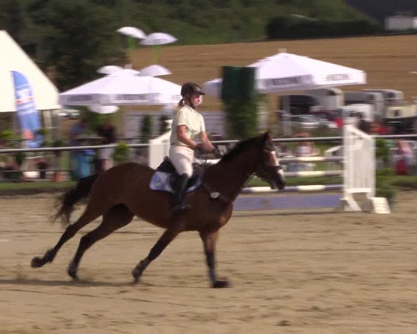 Reitturnier Menden 2016