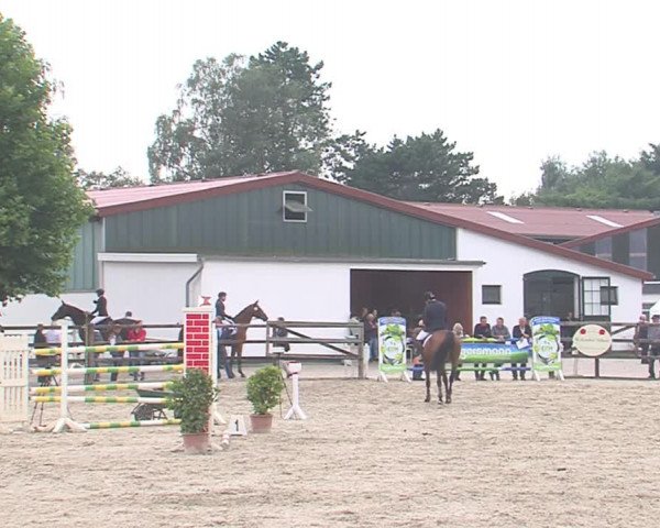 Reitturnier HH-Klein Offenseth/Hell-Stallion-Stud 2016