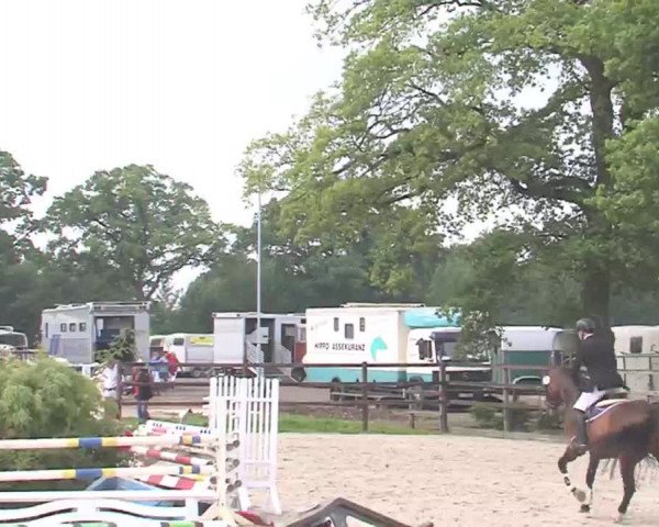Reitturnier HH-Klein Offenseth/Hell-Stallion-Stud 2016