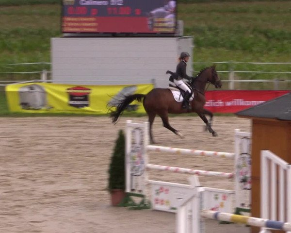 Sommerturnier Altenberge 2016