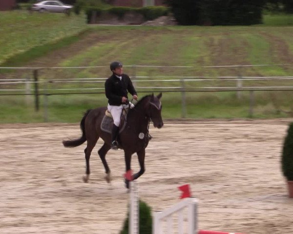 Sommerturnier Altenberge 2016