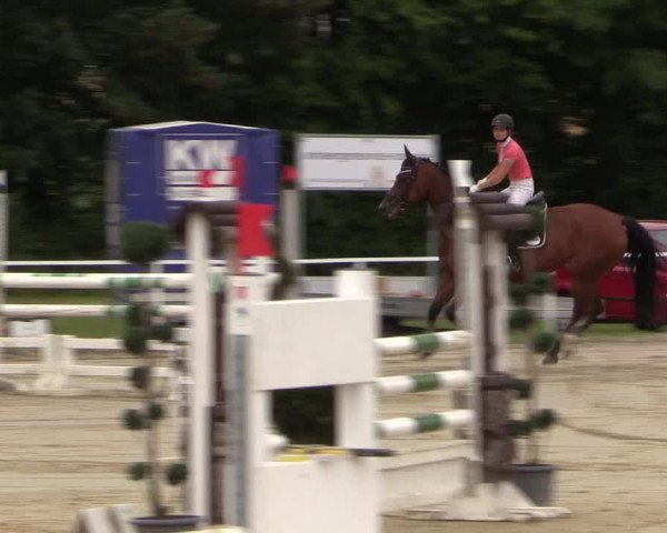 Reitturnier Menden 2016