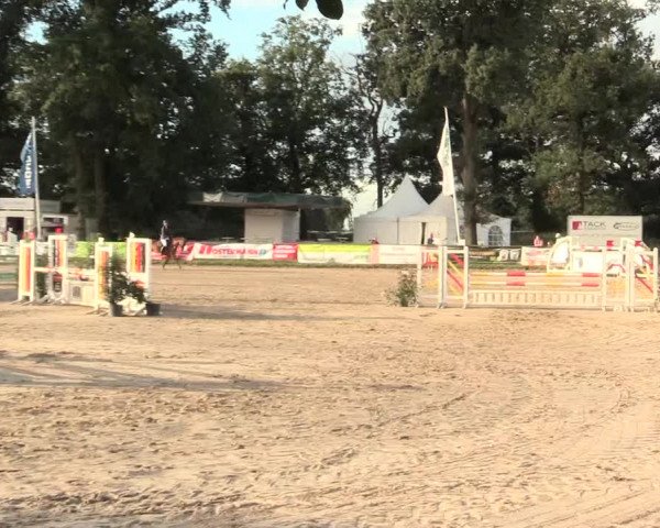 Reitturnier Datteln 2016