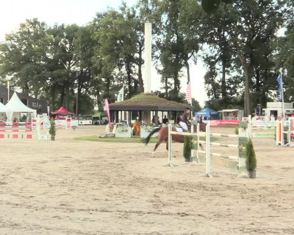 Reitturnier Datteln 2016