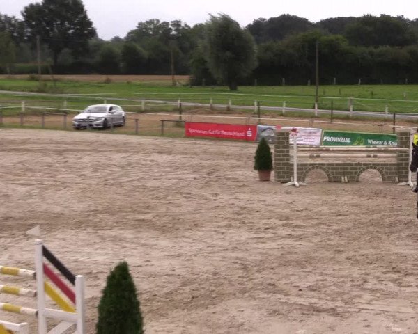 Sommerturnier Altenberge 2016