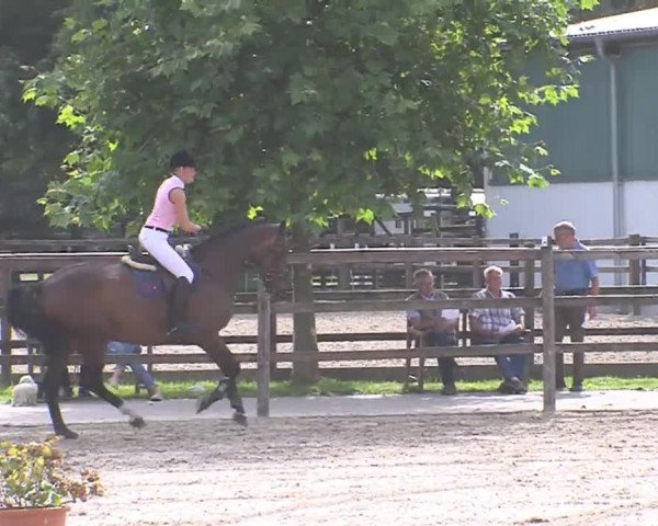 Reitturnier HH-Klein Offenseth/Hell-Stallion-Stud 2016