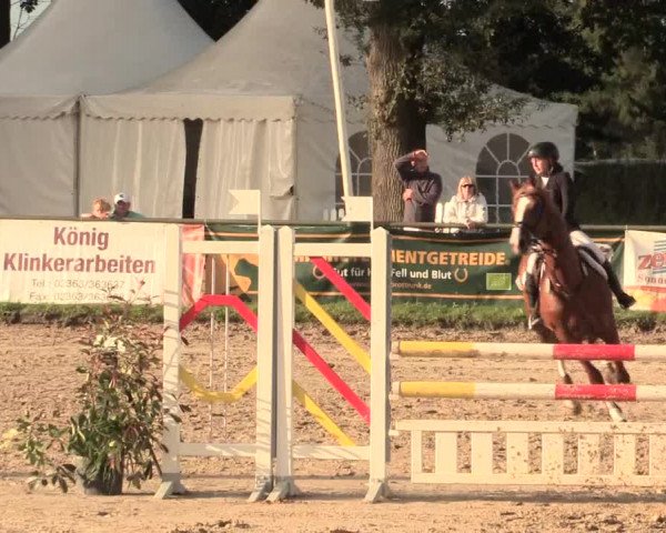 Reitturnier Datteln 2016
