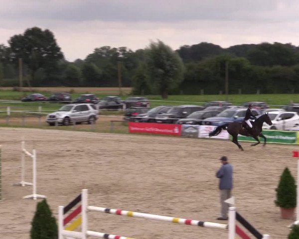 Sommerturnier Altenberge 2016