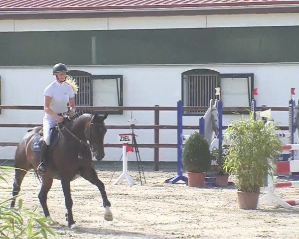 Reitturnier HH-Klein Offenseth/Hell-Stallion-Stud 2016