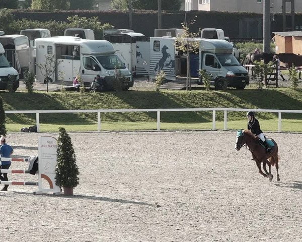 Pferdesporttage Bülach 2021