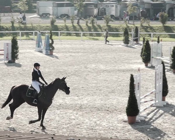 Pferdesporttage Bülach 2021