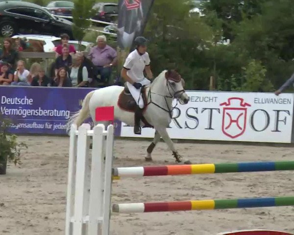 HORSE classics Killingen 2016