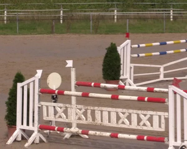 Sommerturnier Altenberge 2016