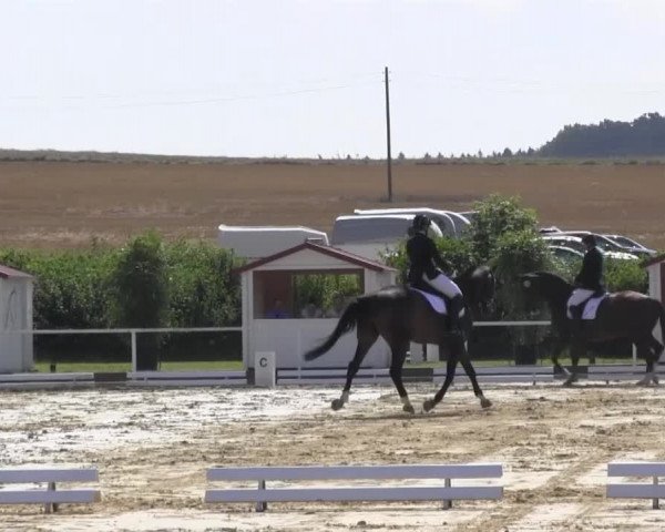 Reitturnier Menden 2016