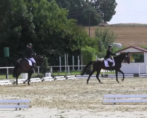 Reitturnier Menden 2016