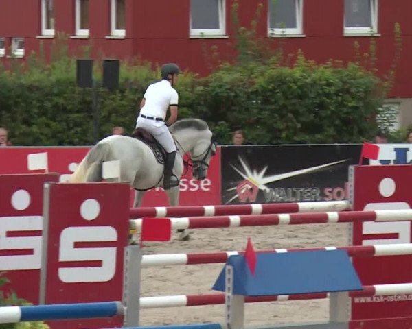 HORSE classics Killingen 2016