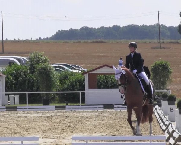 Reitturnier Menden 2016