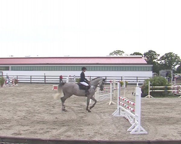 Reitturnier HH-Klein Offenseth/Hell-Stallion-Stud 2016