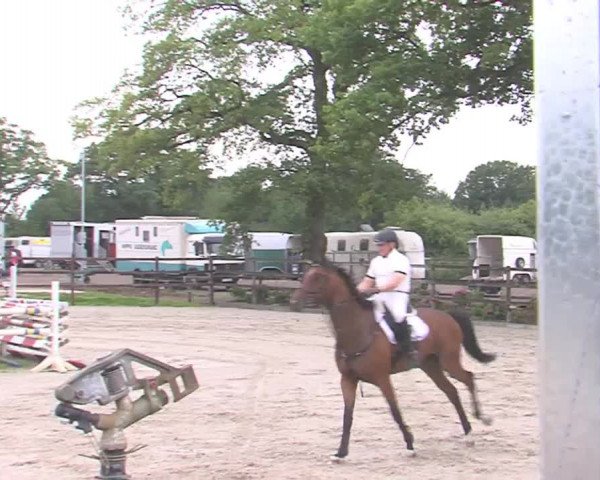 Reitturnier HH-Klein Offenseth/Hell-Stallion-Stud 2016