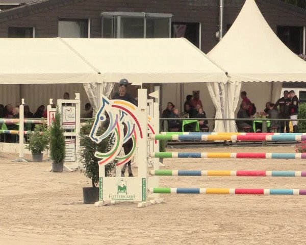 Reitturnier Datteln 2016