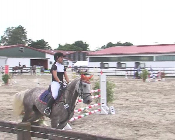 Reitturnier HH-Klein Offenseth/Hell-Stallion-Stud 2016