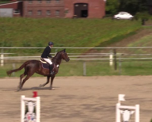 Sommerturnier Altenberge 2016