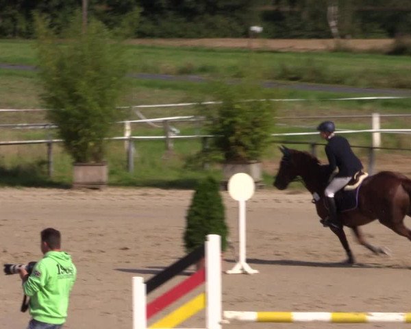 Sommerturnier Altenberge 2016