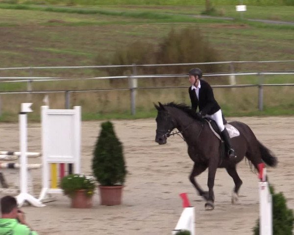 Sommerturnier Altenberge 2016